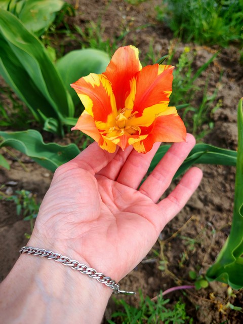 photo 19 08 2025 06