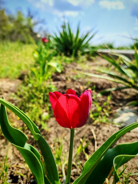 photo 19 08 2025 08